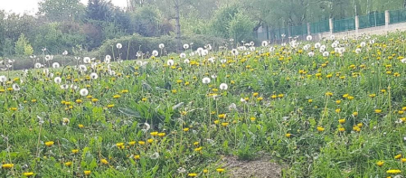 Fotos de la primavera enviadas por los lectores de diariodenavarra.es