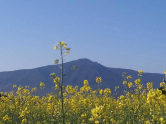 Fotos de la primavera enviadas por los lectores de diariodenavarra.es