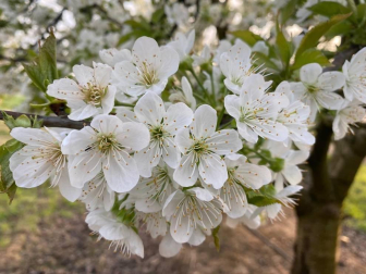 Fotos de la primavera enviadas por los lectores de diariodenavarra.es