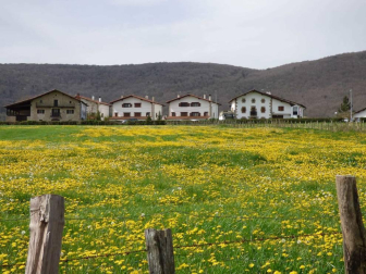 Fotos de la primavera enviadas por los lectores de diariodenavarra.es