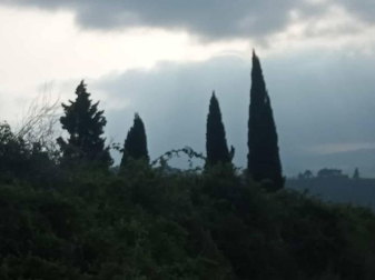 Fotos de la primavera enviadas por los lectores de diariodenavarra.es