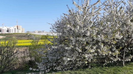 Fotos de la primavera enviadas por los lectores de diariodenavarra.es