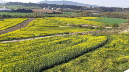 Fotos de la primavera enviadas por los lectores de diariodenavarra.es