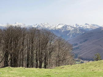 Fotos de la primavera enviadas por los lectores de diariodenavarra.es