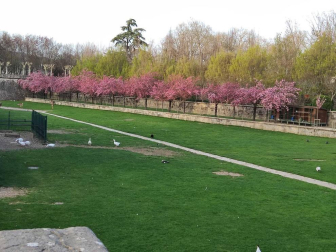 Fotos de la primavera enviadas por los lectores de diariodenavarra.es