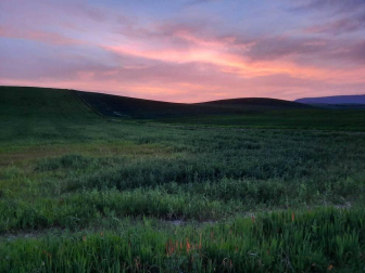 Fotos de la primavera enviadas por los lectores de diariodenavarra.es