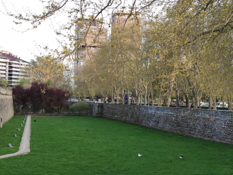 Fotos de la primavera enviadas por los lectores de diariodenavarra.es