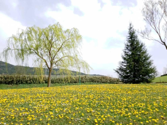 Fotos de la primavera enviadas por los lectores de diariodenavarra.es