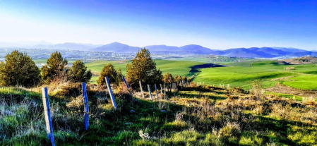 Fotos de la primavera enviadas por los lectores de diariodenavarra.es