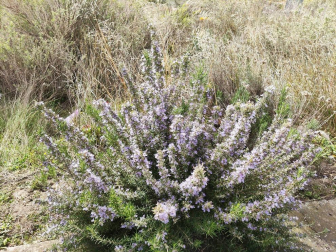 Fotos de la primavera enviadas por los lectores de diariodenavarra.es
