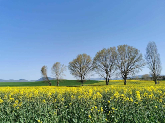Fotos de la primavera enviadas por los lectores de diariodenavarra.es
