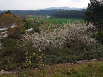 Fotos de la primavera enviadas por los lectores de diariodenavarra.es