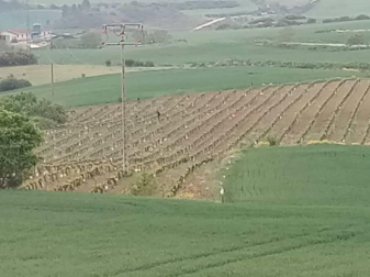 Calor y temperaturas agradables en los primeros día de la primavera en Pamplona.