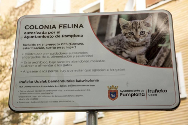 El Ayuntamiento de Pamplona ha habilitado un espacio dotado de un contenedor tipo iglú, así como la cartelería correspondiente, para la colonia felina situada en la Txantrea.
