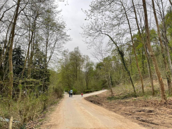 Los senderos de Bertiz han abierto esta Semana Santa tras la tormenta que derribó multitud de árboles.
