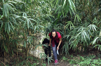 Los amantes de la naturaleza aprovecharon este Jueves Santo, 1 de abril, para visitar el Señorío de Bertiz donde se reanudaron los senderos cerrados antes por las medidas contra el coronavirus.