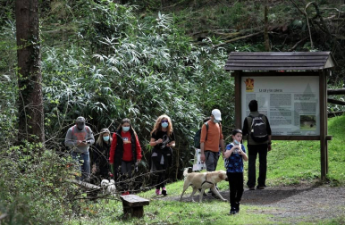 Los amantes de la naturaleza aprovecharon este Jueves Santo, 1 de abril, para visitar el Señorío de Bertiz donde se reanudaron los senderos cerrados antes por las medidas contra el coronavirus.