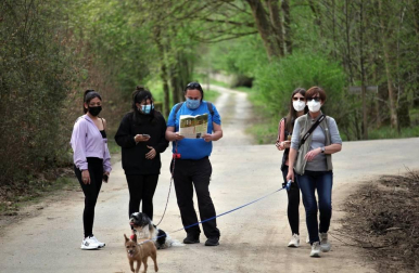Los amantes de la naturaleza aprovecharon este Jueves Santo, 1 de abril, para visitar el Señorío de Bertiz donde se reanudaron los senderos cerrados antes por las medidas contra el coronavirus.