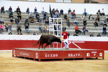 La zona media de Navarra acogió este domingo la primera exhibición de bravura de la mano de la ganadería Arriazu
