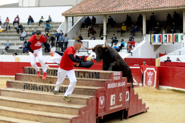 La zona media de Navarra acogió este domingo la primera exhibición de bravura de la mano de la ganadería Arriazu