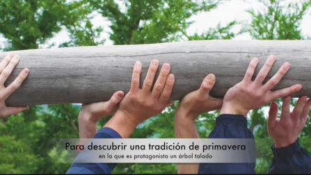 Vídeo Mayo