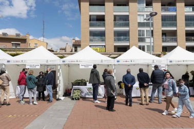 Fotos de la Feria de la Gastronomía en Tudela