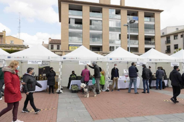 Fotos de la Feria de la Gastronomía en Tudela