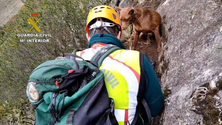 Rescatada una perra atrapada en una pared de la Foz de Lumbier