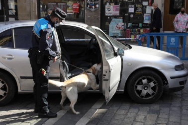 Tyrion y Suri son los dos perros que, junto a dos agentes adscritos al Grupo de Prevención, conforman la Unidad Canina de la Policía Municipal de Pamplona