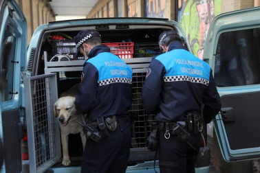 Tyrion y Suri son los dos perros que, junto a dos agentes adscritos al Grupo de Prevención, conforman la Unidad Canina de la Policía Municipal de Pamplona