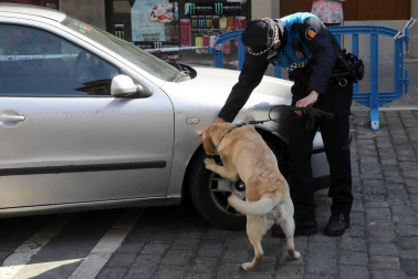 Tyrion y Suri son los dos perros que, junto a dos agentes adscritos al Grupo de Prevención, conforman la Unidad Canina de la Policía Municipal de Pamplona
