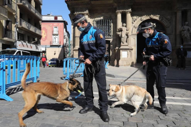 Tyrion y Suri son los dos perros que, junto a dos agentes adscritos al Grupo de Prevención, conforman la Unidad Canina de la Policía Municipal de Pamplona