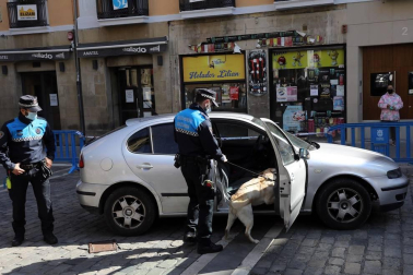 Tyrion y Suri son los dos perros que, junto a dos agentes adscritos al Grupo de Prevención, conforman la Unidad Canina de la Policía Municipal de Pamplona