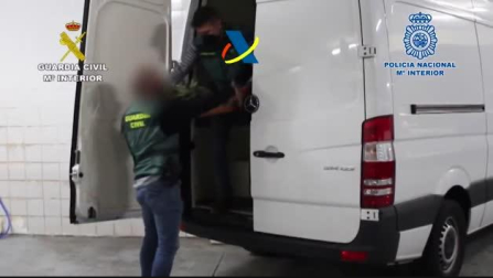 Cocaína oculta en el interior de piñas