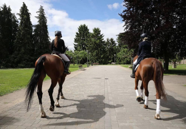Del 2 al 12 de septiembre participarán los mejores jinetes nacionales en diferentes pruebas de salto y doma que tendrán acceso gratuito.