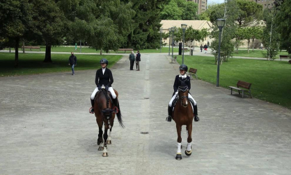 Del 2 al 12 de septiembre participarán los mejores jinetes nacionales en diferentes pruebas de salto y doma que tendrán acceso gratuito.