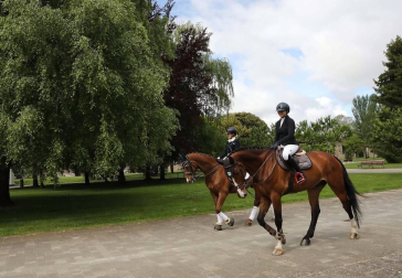 Del 2 al 12 de septiembre participarán los mejores jinetes nacionales en diferentes pruebas de salto y doma que tendrán acceso gratuito.