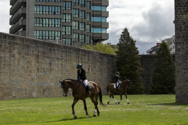 Del 2 al 12 de septiembre participarán los mejores jinetes nacionales en diferentes pruebas de salto y doma que tendrán acceso gratuito.