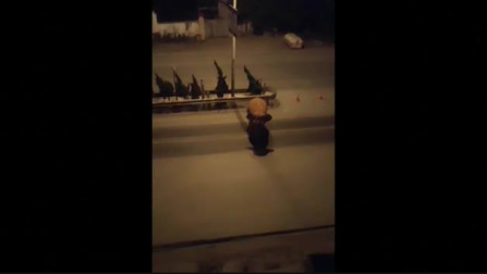 Una manada de elefantes cruza una ciudad china