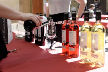 Galería de fotos de la degustación de vinos y pinchos en San Martín de Unx dentro de las actividades del Mes del Rosado
