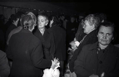 El Ayuntamiento de Pamplona inauguró la muestra en Condestable con fotografías que visibilizan la contribución de las mujeres para mantener en pie la sociedad.