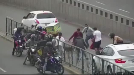 Una perra a la fuga provoca el caos en el tráfico de Lima