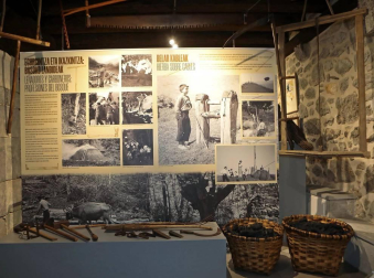 El quebrantahuesos conocido como Kiriku es el protagonista de la exposición "Aralar, la mirada de Kiriku", que se exhibe en Lekunberri y que acerca valores y patrimonio del paisaje de la sierra de Aralar y los valles de la zona, así como la evolución que ha tenido este entorno natural y cultural durante los últimos cien años.