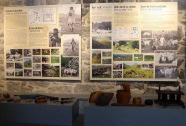 El quebrantahuesos conocido como Kiriku es el protagonista de la exposición "Aralar, la mirada de Kiriku", que se exhibe en Lekunberri y que acerca valores y patrimonio del paisaje de la sierra de Aralar y los valles de la zona, así como la evolución que ha tenido este entorno natural y cultural durante los últimos cien años.