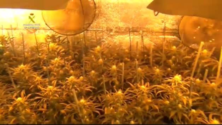 La Guardia Civil desarticula en Salamanca un "narcocamión" itinerante de Marihuana