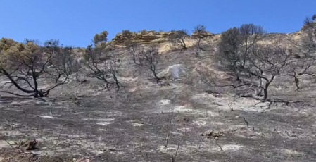 Imágenes, un día después, de cómo ha quedado la zona afectada por el incendio en las Bardenas Reales
