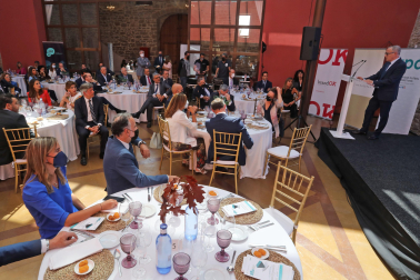 Un centenar de personas, entre directivos, empresarios y representantes de la esfera política, asistieron ayer a la entrega del primer Premio al Directivo del Año que se celebró en el Palacio de Olloqui. El galardón, impulsado por DN Management y la Asociación para el Progreso de la Dirección busca impulsar el buen hacer de los profesionales que gobiernan y capitanean las empresas