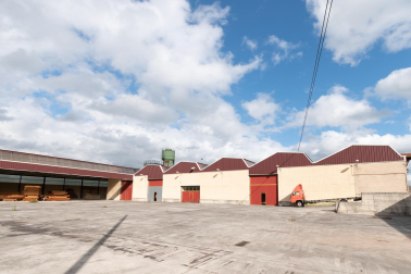 Complejo industrial en Larraintzar