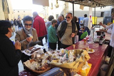 Encuentro con la Historia de Artajona