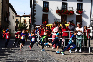 Fotos de la feria de Alsasua